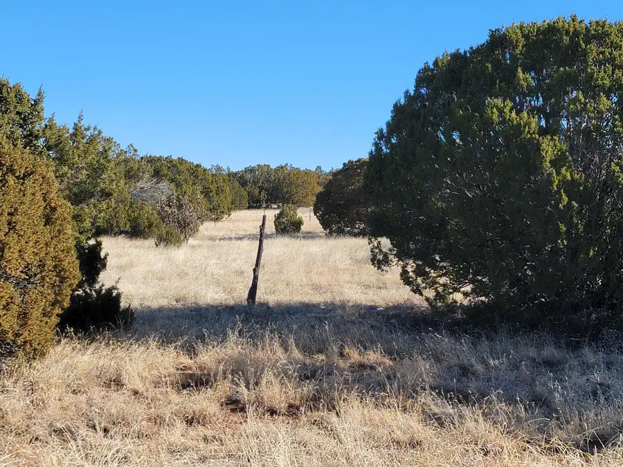 43 Bullock Road, Moriarty, NM 87035 - Image #3