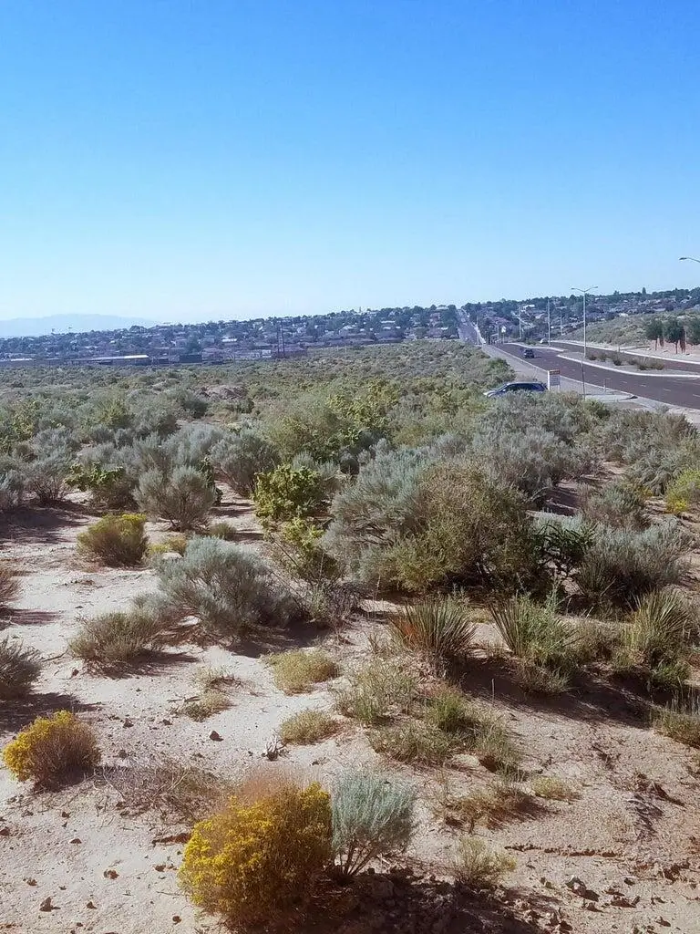 708 Broadmoor Boulevard Ne, Rio Rancho, NM 87124 - #3