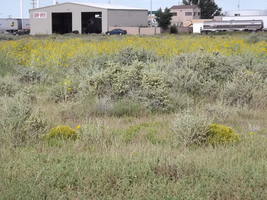 U.s. Rt. 66 E (tr 2-a-2-d), Moriarty, NM 87035 - Image #2