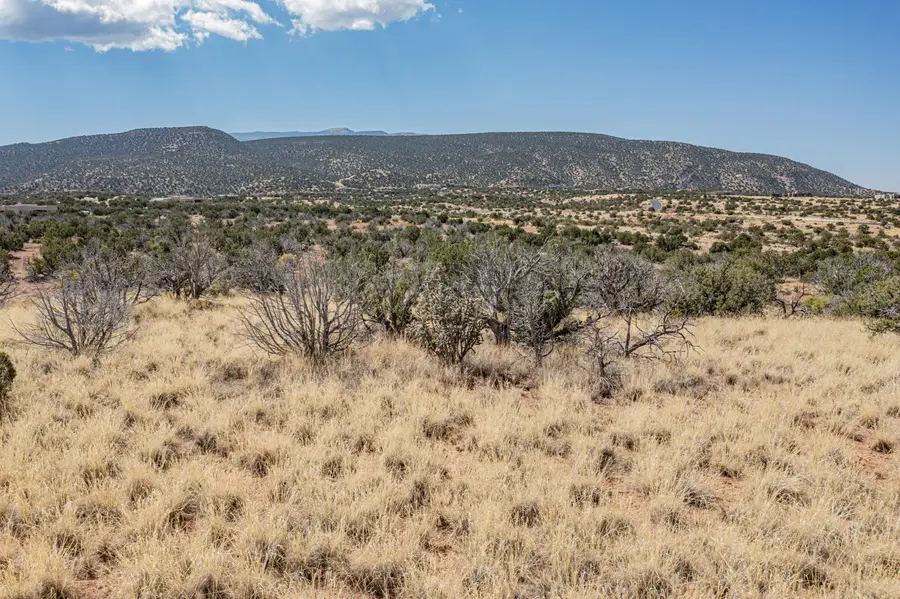 273 Star Meadow Road, Placitas, NM 87043 - Image #3