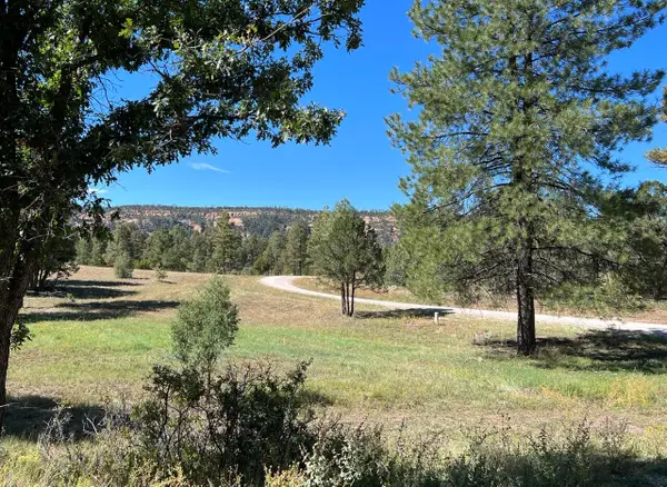 Lot 18 Quail, Ramah, NM 87321