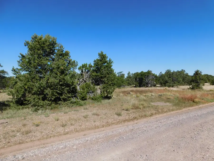 43 Brooks Boulevard, Quemado, NM 87829 - Image #2