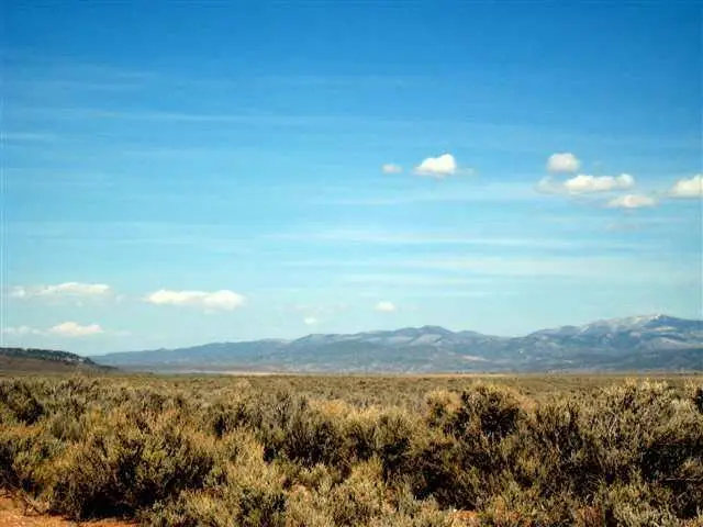Unit 2 Lot 40 Costilla Meadows, Costilla, NM 87524 - Image #2