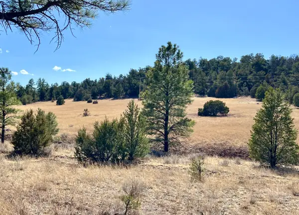 Lot 9 Juniper Drive, Ramah, NM 87321