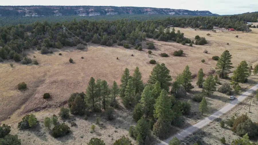 Lot 9 Juniper Drive, Ramah, NM 87321 - Image #2