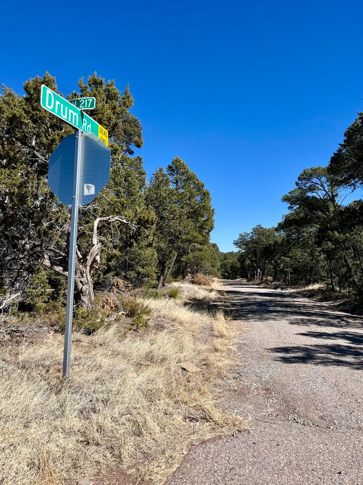 5 Drum Road, Edgewood, NM 87015 - Image #1