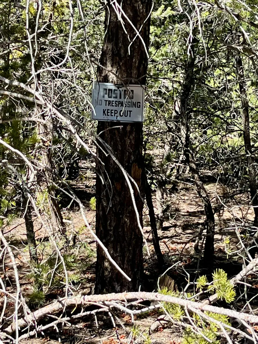 5 Drum Road, Edgewood, NM 87015 - Image #3