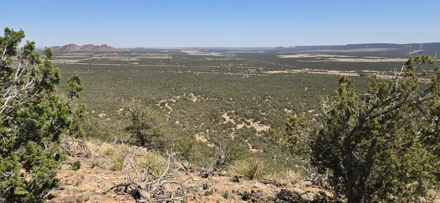 Lot 6 Crow Bait Trail, Corona, NM 88318 - Image #3
