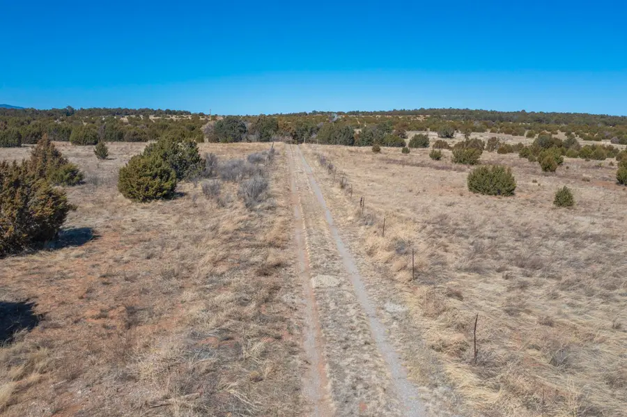 755 Juan Tomas Road, Tijeras, NM 87059 - Image #3