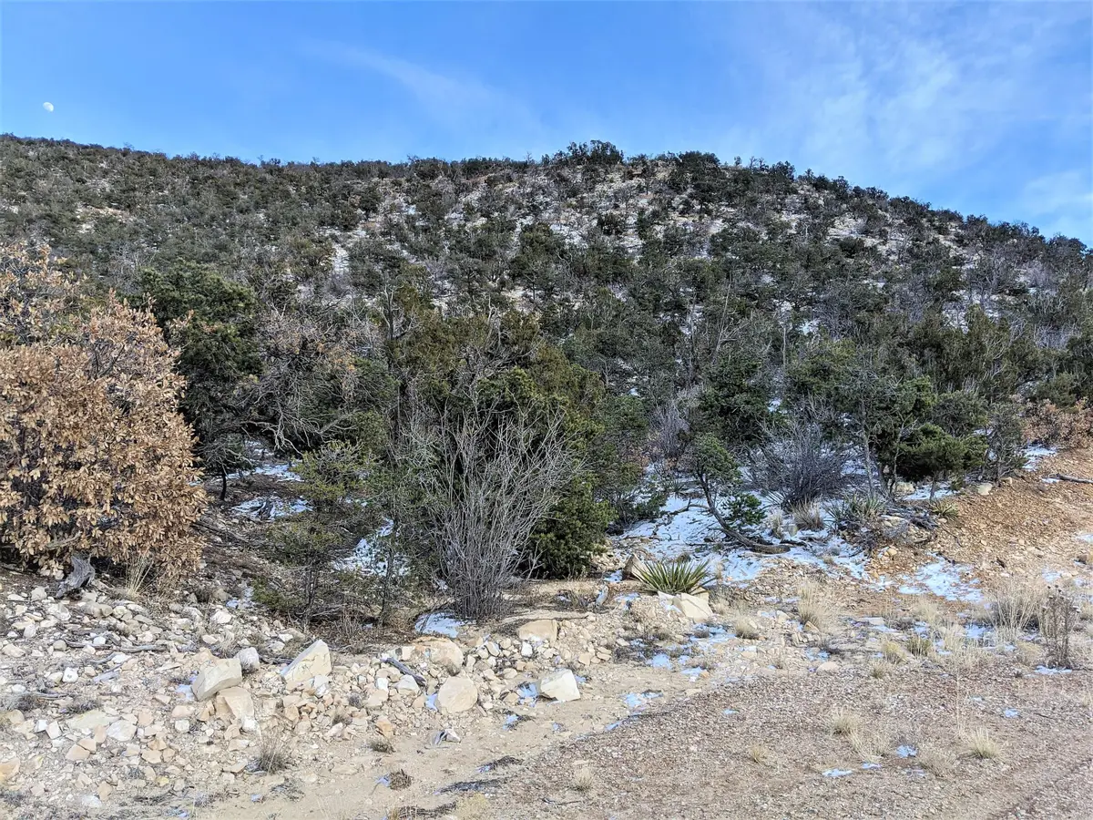 37 Chato Trail, Mountainair, NM 87036 - Image #1