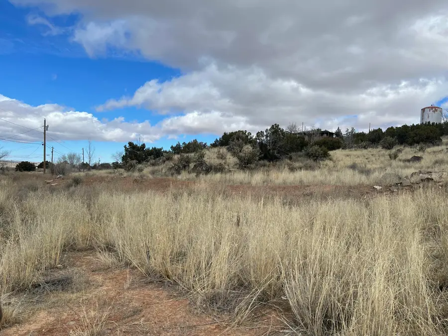 Forest Park Road, Milan, NM 87021 - Image #3