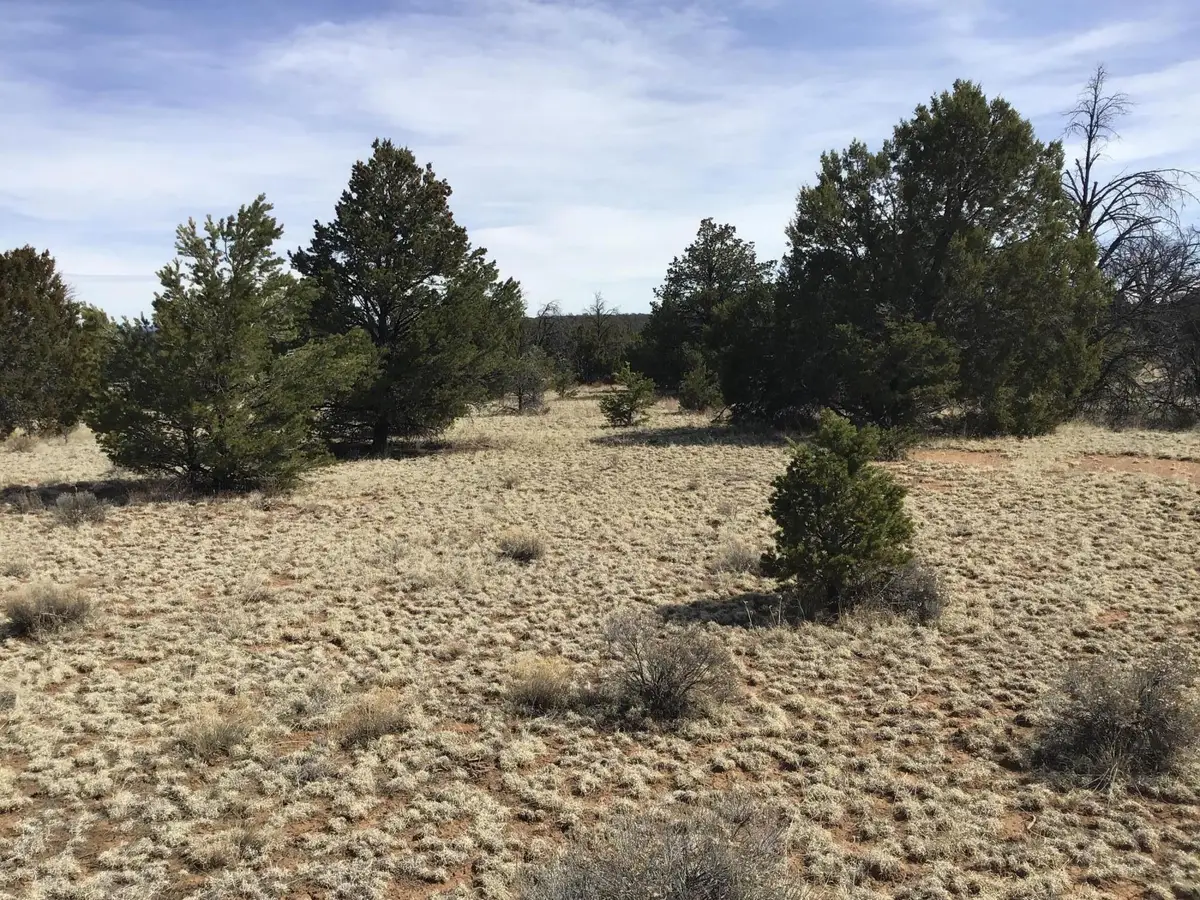 Lot 15 Country Lane, Ramah, NM 87321 - Image #1