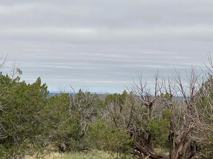 10 Bull Canyon Loop, Newkirk, NM 88431 - #2