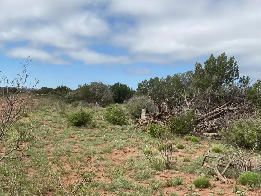 10 Bull Canyon Loop, Newkirk, NM 88431 - #3