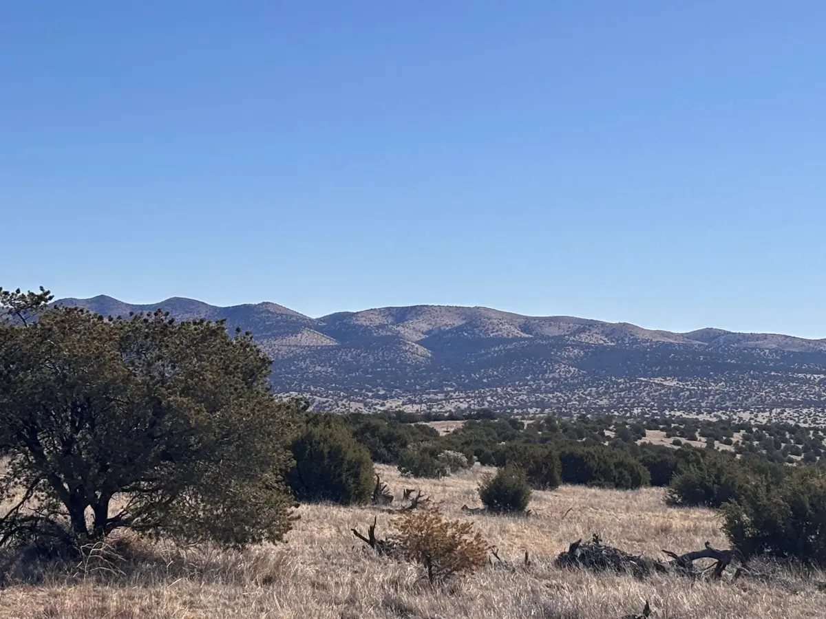 Lot 168 Pinon Springs, Magdalena, NM 87825 - Image #1