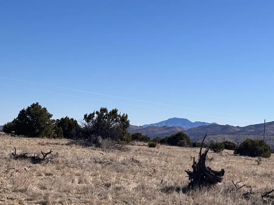 Lot 168 Pinon Springs, Magdalena, NM 87825 - Image #3