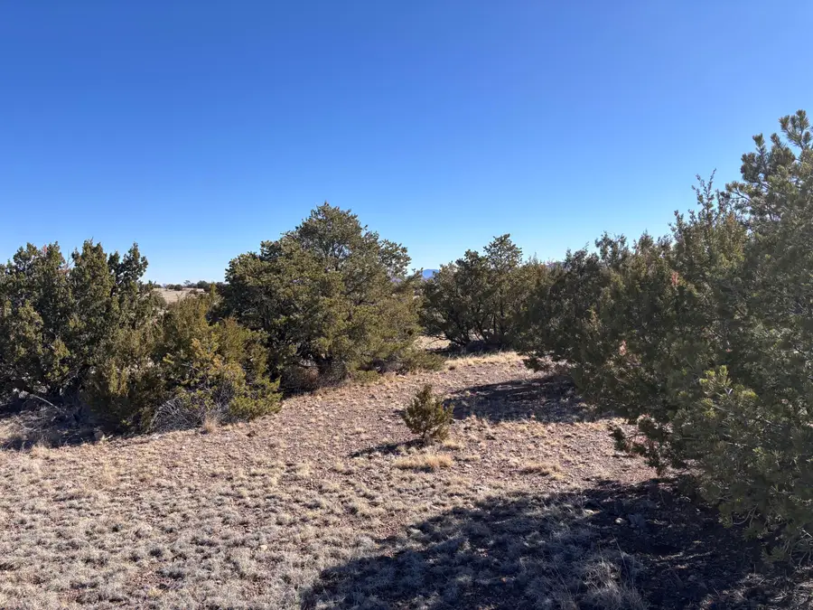 Lot 174 Pinon Springs, Magdalena, NM 87825 - Image #2