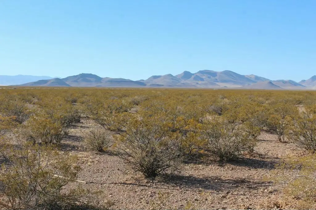 3-17 Willow Springs, Magdalena, NM 87825 - Image #1