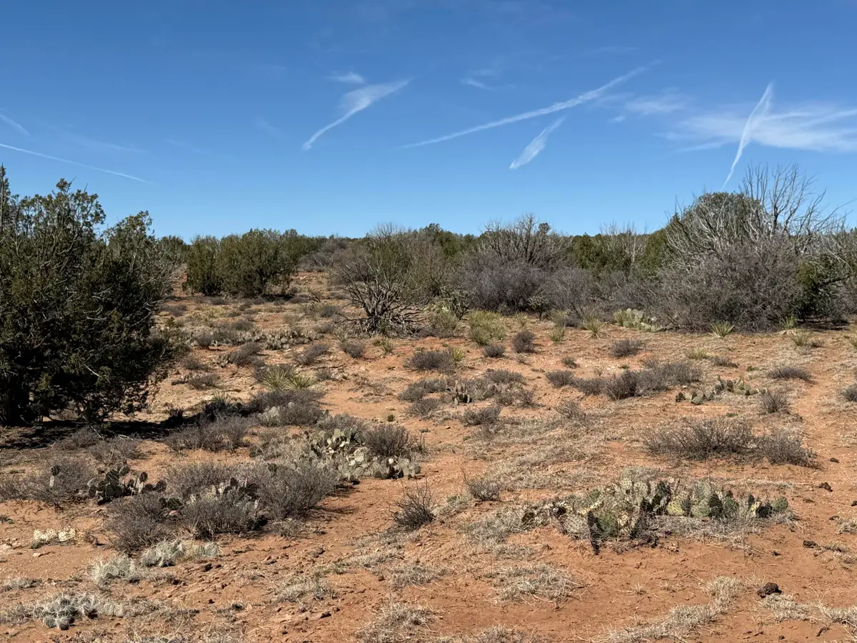 Lot 61 Bull Canyon Loop, Newkirk, NM 88431 - Image #1
