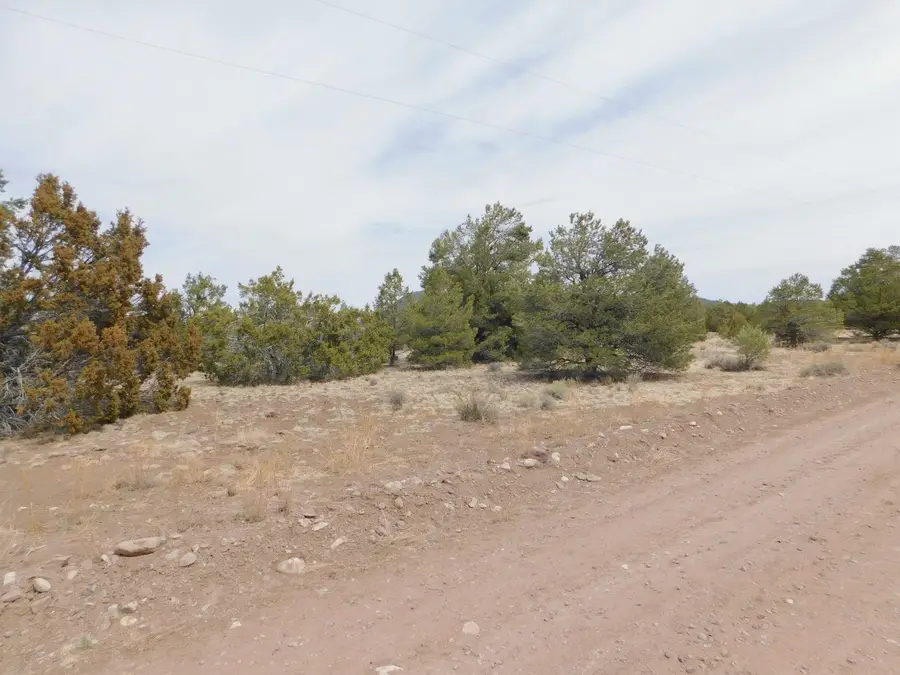 Gila Drive, Quemado, NM 87829 - Image #2