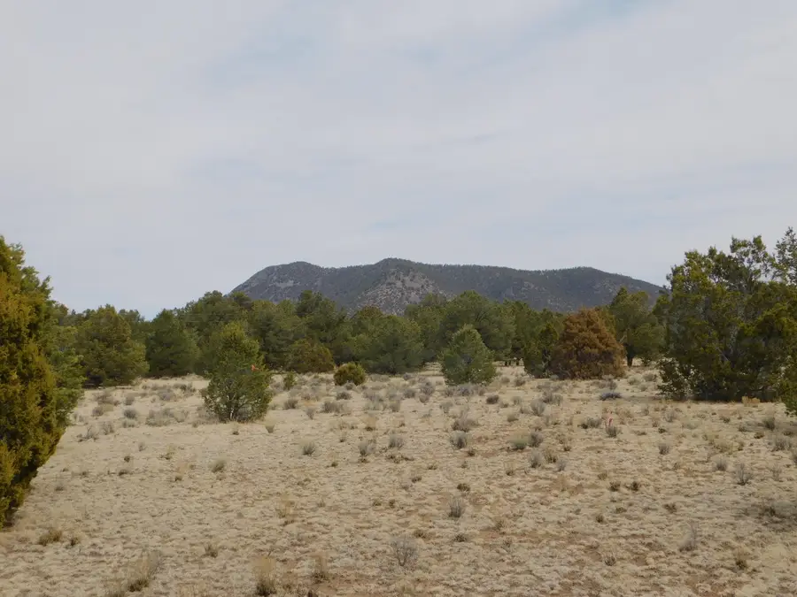Gila Drive, Quemado, NM 87829 - Image #3