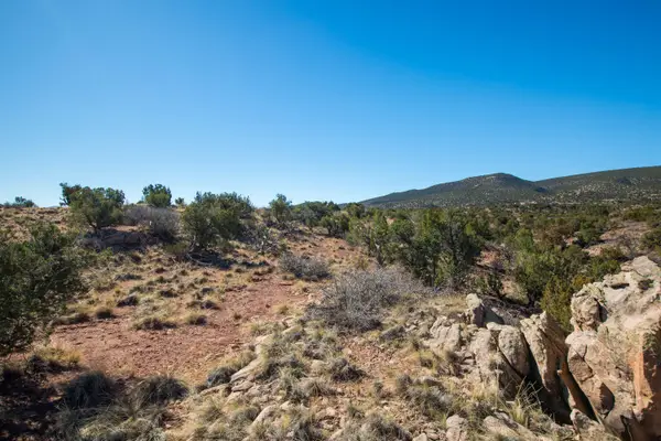 234 N Wild Primrose, Placitas, NM 87043