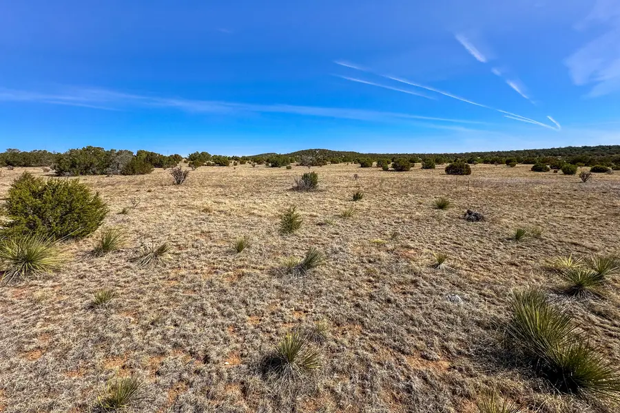 65 Casper Court, Moriarty, NM 87035 - Image #2