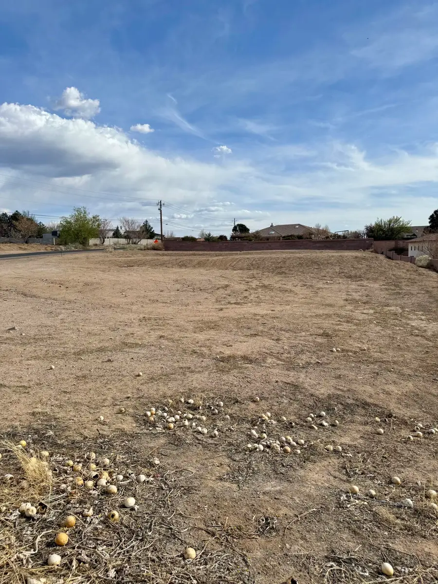 9008 Eagle Rock Avenue Ne, Albuquerque, NM 87122 - Image #3