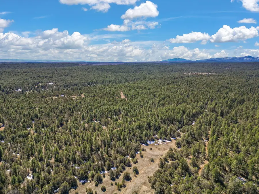 0 Raquel Road, Tijeras, NM 87059 - Image #2