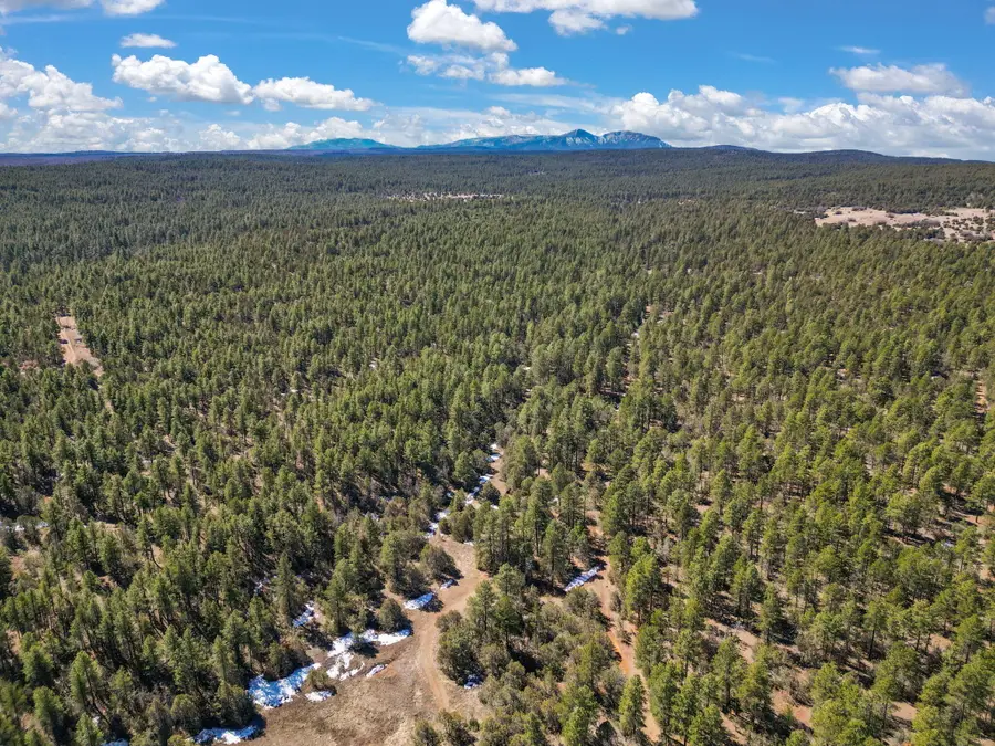 0 Raquel Road, Tijeras, NM 87059 - Image #3