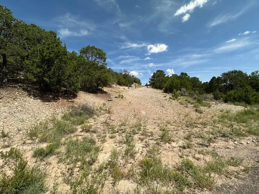 52 Sandia Mountain Ranch Drive, Tijeras, NM 87059 - Image #3