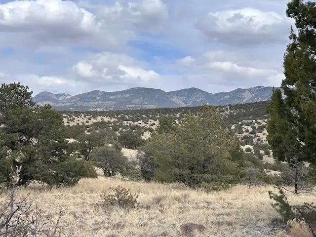 Lot 5 Magdalena Mountain Ranch, Magdalena, NM 87825 - Image #1