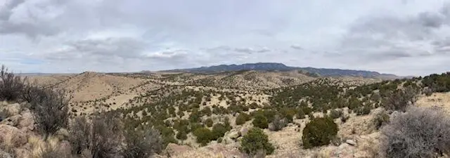 Lot 5 Magdalena Mountain Ranch, Magdalena, NM 87825 - Image #3