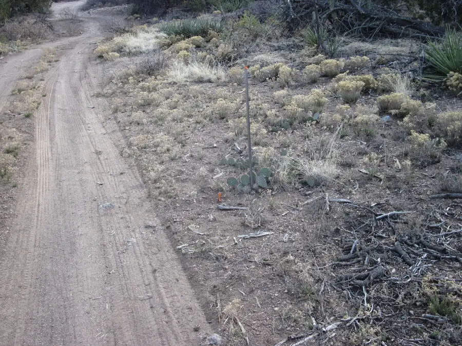 Bella Vista Lots I And J, Edgewood, NM 87015 - Image #3