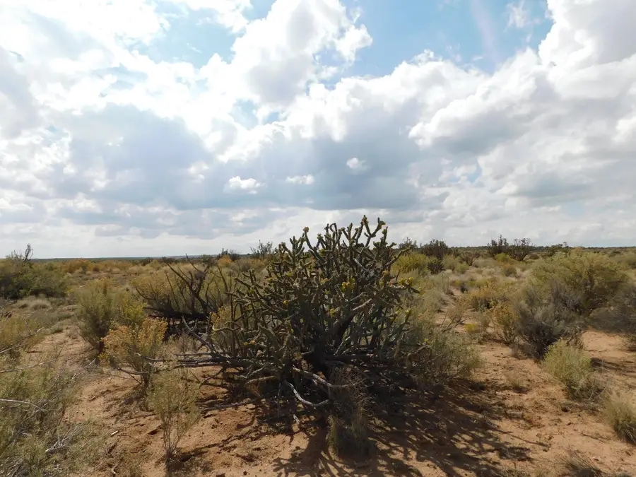 704 & 708 Trumbull Road Ne, Rio Rancho, NM 87144 - #3