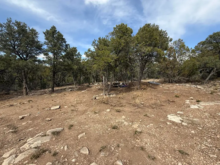 246 Five Hills Drive, Tijeras, NM 87059 - Image #3