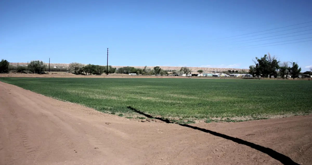 33 Pueblitos Road, Belen, NM 87002 - Image #1