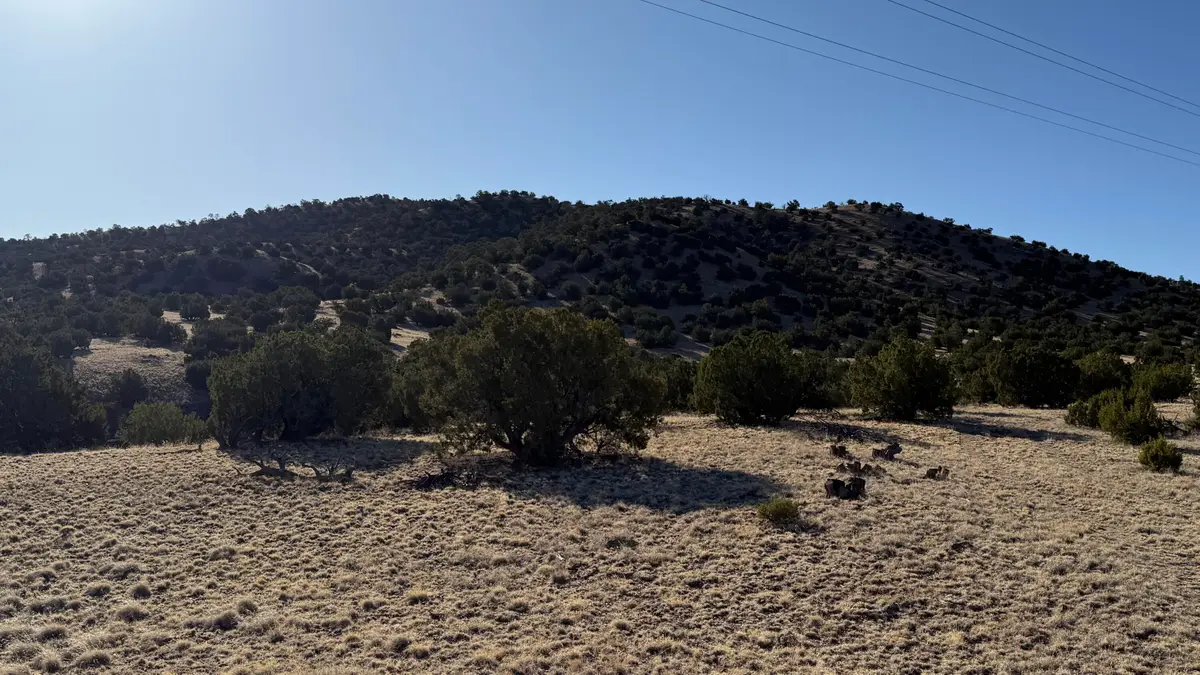 Lot 21 Pinon Springs Ranch, Magdalena, NM 87825 - Image #1