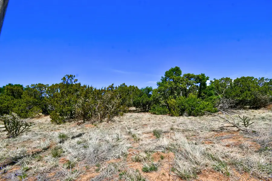 201 Entranosa/ Lot 5 Road, Edgewood, NM 87015 - Image #2