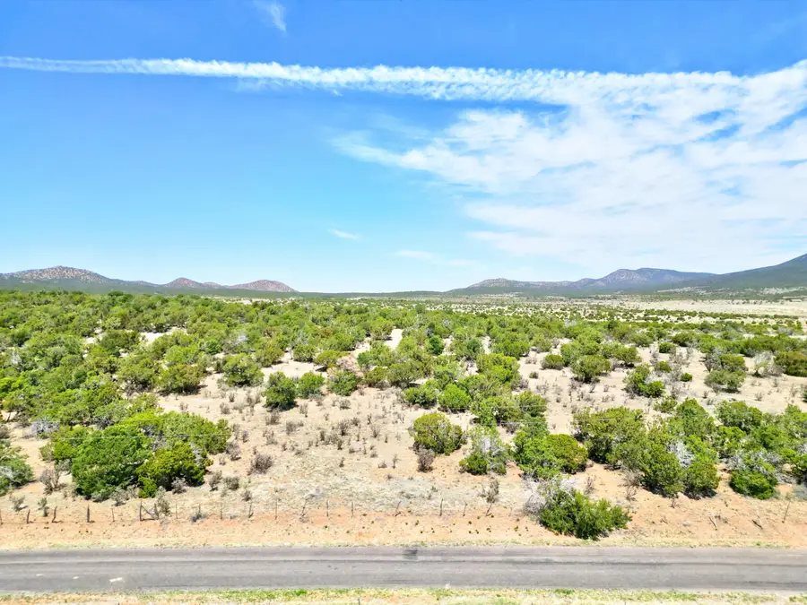 201 Entranosa/ Lot 5 Road, Edgewood, NM 87015 - Image #3