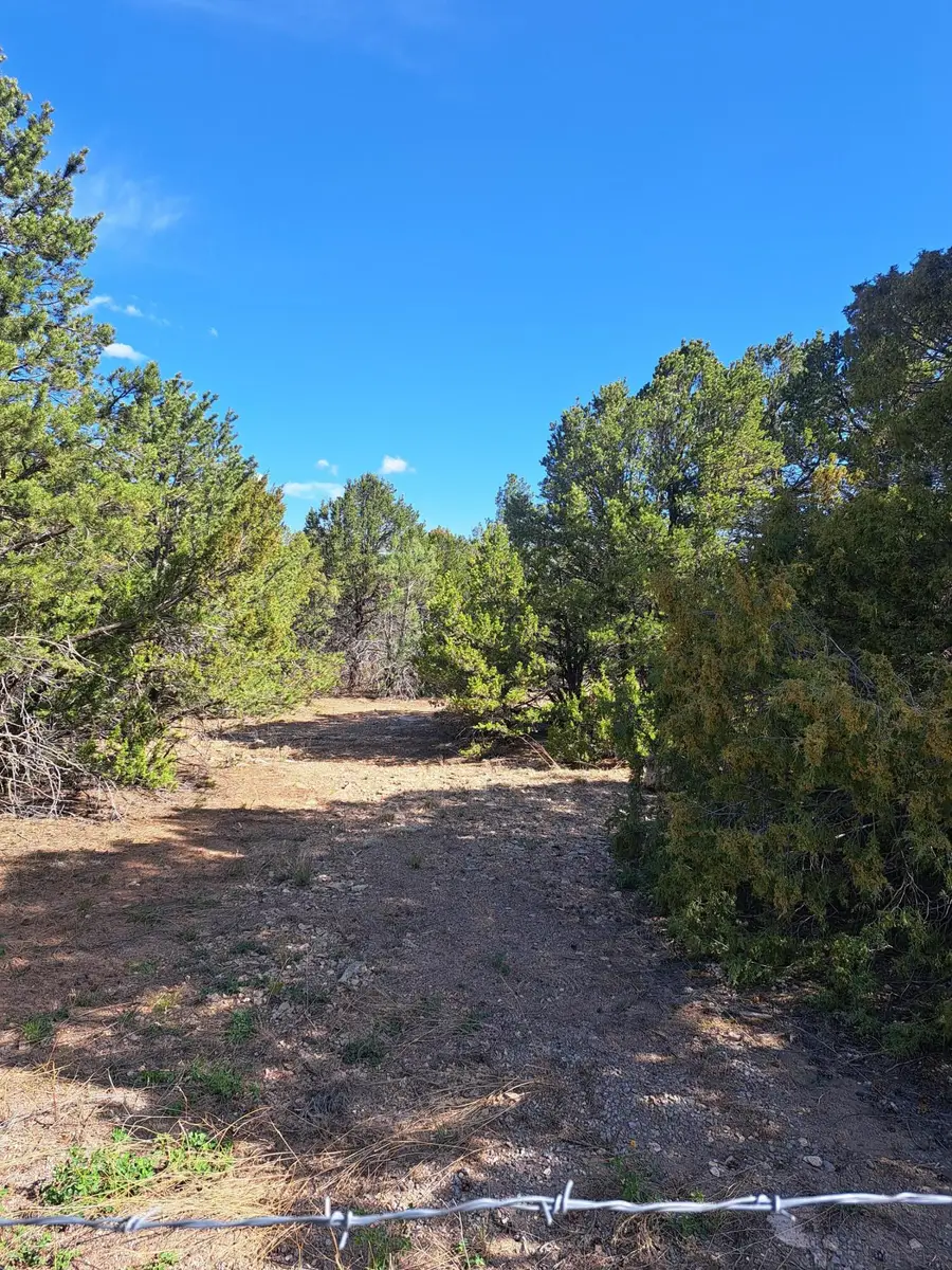 165 Juan Tomas Road, Tijeras, NM 87059 - Image #2