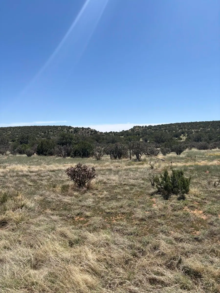 47 Lost Saddle Loop, Santa Rosa, NM 88435 - Image #3