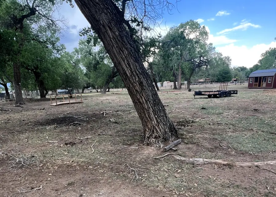 8 Wildwood Lane, Peralta, NM 87042 - Image #2