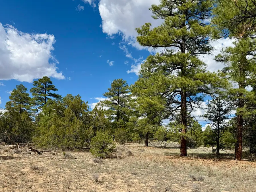 17 Hastings Loop, Ramah, NM 87321 - Image #3