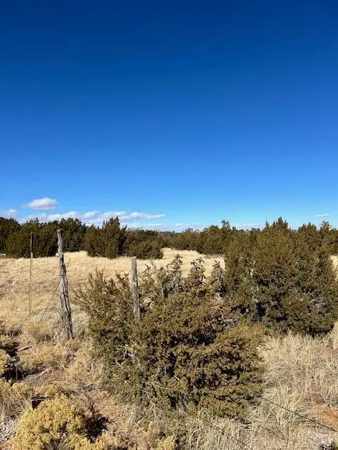 Kings Meadow Road, Sandia Park, NM 87047 - Image #3