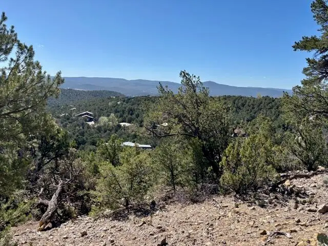 Los Amigos Court, Cedar Crest, NM 87008 - Image #1