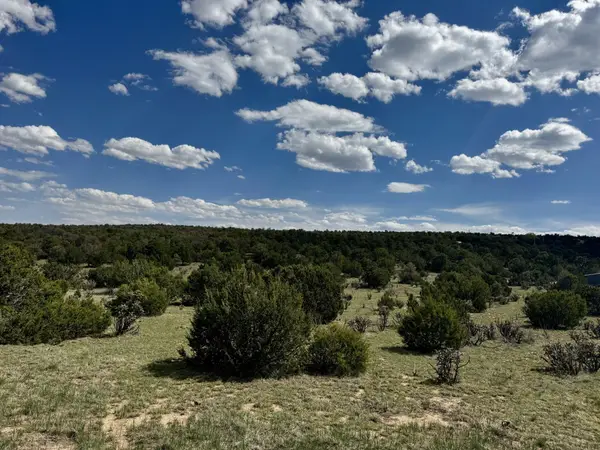 226 Nugent Road, Edgewood, NM 87015
