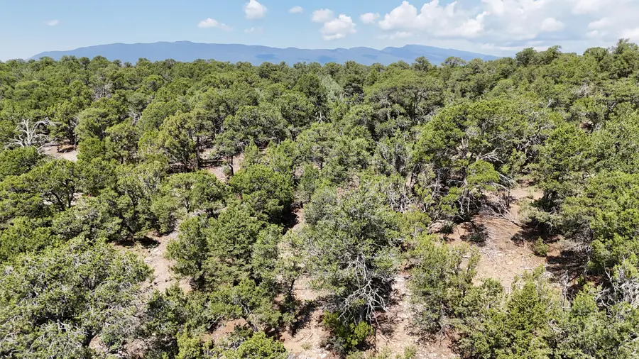 26 Rancho Verde Road, Tijeras, NM 87059 - Image #3