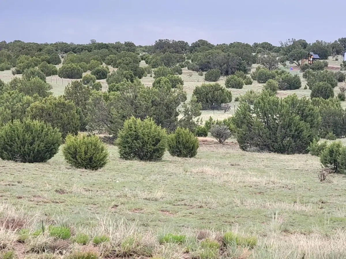 95 Woodland Drive, Edgewood, NM 87015 - Image #1