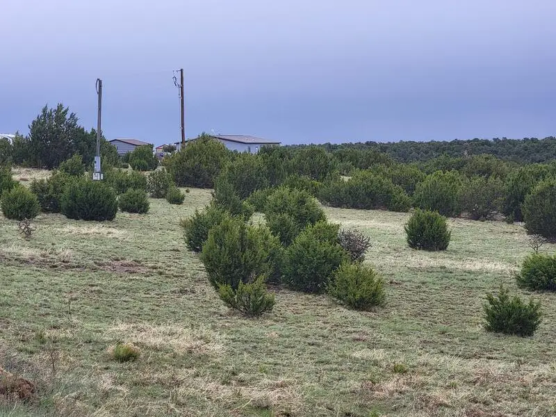 95 Woodland Drive, Edgewood, NM 87015 - Image #2